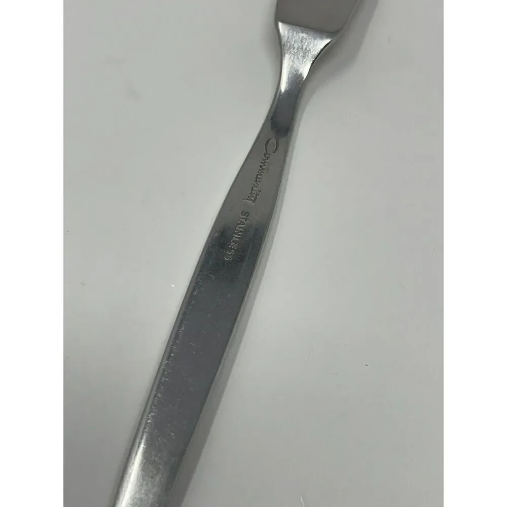 Oneida Community Stainless Frostfire Flat Handle Master Butter Knife 6 1/2”